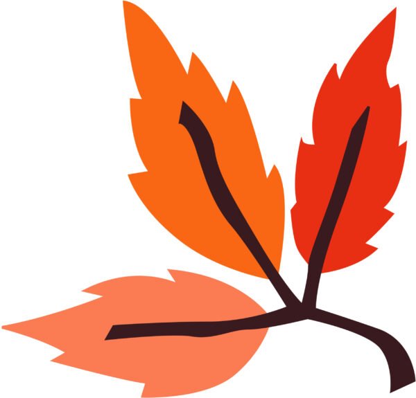 Autumn - Image 4